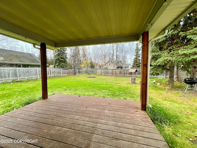 Side yard from back door