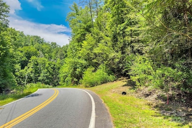 0 Buffalo Creek Rd unit CAR4155198, Lake Lure, NC 28746 - photo 6