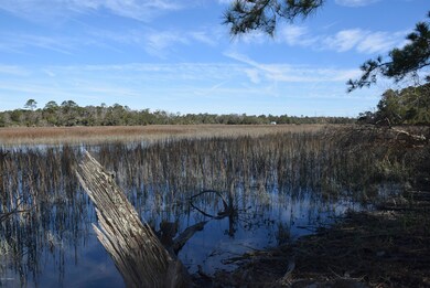 Cordgrass Loop 009
