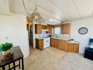 1160 E Telegraph St unit 9, Washington, UT 84780 - photo 5