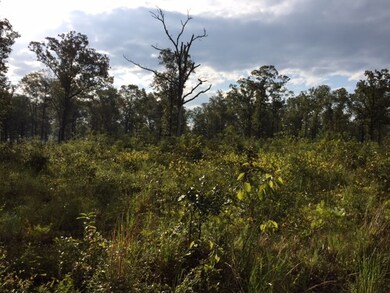 x Morris Rd, Camilla, GA 31730 - photo 2