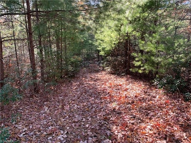 TBD (Lot 1) Dugger Firetower Rd, Lenoir, NC 22864 - photo 3
