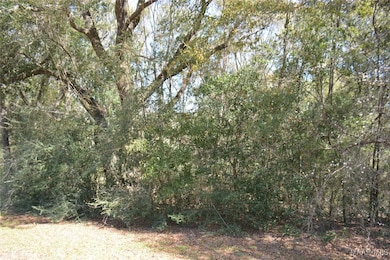 Lot 1 & 2 Blk G Oak Lake Dr, Level Plains, AL 36330 - photo 2