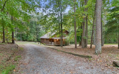 137 Ridge Crest Ct, Ellijay, GA 30540 - photo 4