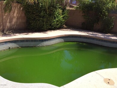 Elmwood Green Pool