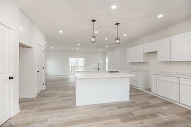 1053 Peach Blvd, Willoughby, OH 44094 - photo 6