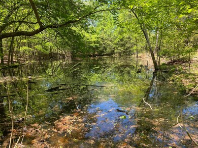 55600 E 319 Trail, Jay, OK 74346 - photo 6