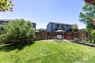 Extra Large Yard