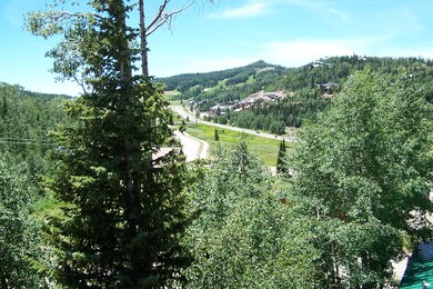 117 E Steam Engine unit 3b  Timbernest cond, Brian Head, UT 84719 - photo 5