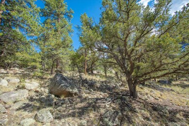 000 Oppliger Dr, Nathrop, CO 81236 - photo 6