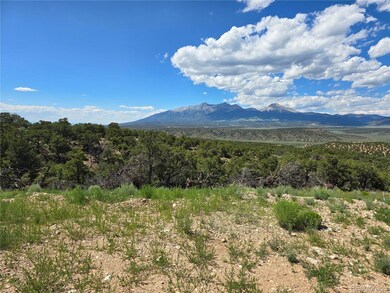 3838 Fontaine Rd, Fort Garland, CO 81133 - photo 5