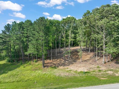 Q Jaber Rd, Clarksville, VA 23927 - photo 2