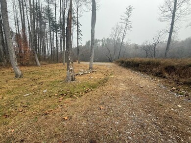 0 Rushing Water Trail unit 420381, Hayesville, NC 28904 - photo 7