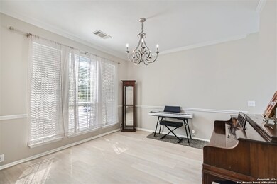 10627 Rainbow View, Helotes, TX 78023 - photo 5