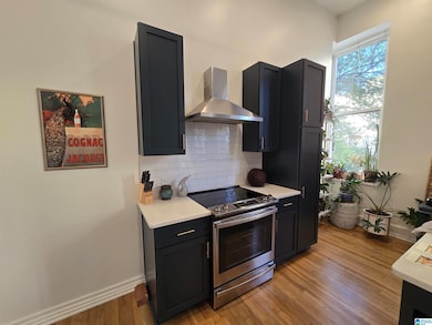 300 20th St N unit 201, Birmingham, AL 35203 - photo 5