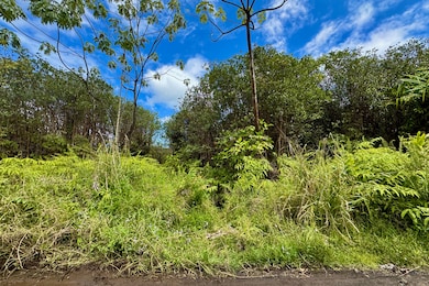 16-1495 Io Kea Rd, Mountain View, HI 96760 - photo 3