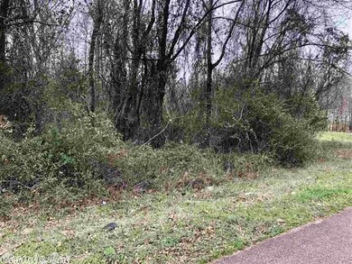 Lot 4 Cummings Ln unit Tract 9A & Tract 22, Texarkana, TX 75501 - photo 3