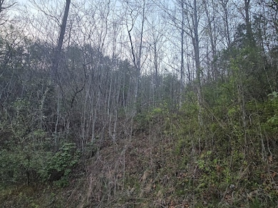 Lt 5 Running Water Cir, Sylva, NC 28779 - photo 4