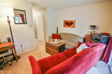 Lower level living area