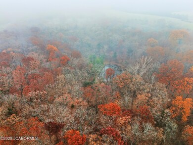 TRACT B6 Pea Ridge Rd, Centertown, MO 65023 - photo 4