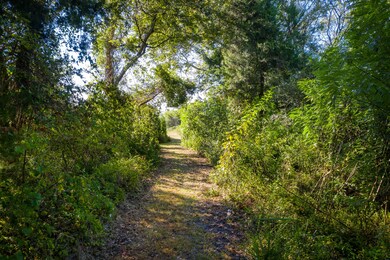 Private Path to Beach Access