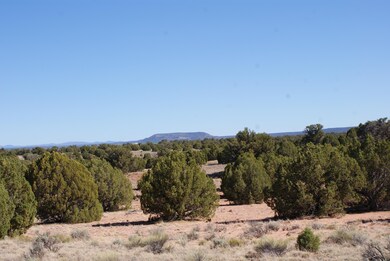 Southern View