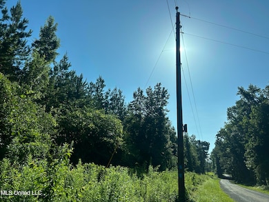 0 Mccullough Rd SE, Bogue Chitto, MS 39629 - photo 3