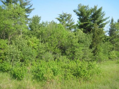 Lot 2 11th Ave, Arkdale, WI 54613 - photo 6