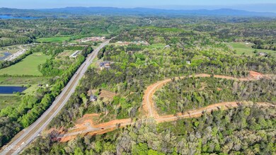 LOT 11 Greenfield Rd, Morganton, GA 30560 - photo 4