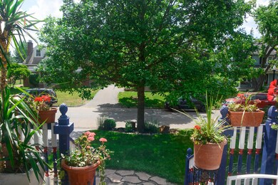 View From Front Porch