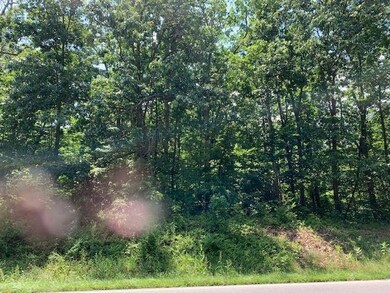 TBD Old Hermitage Rd, Wayne, VA 22980 - photo 2