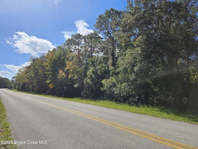 4600 Beacon Light Rd, Edgewater, FL 32141 - photo 2