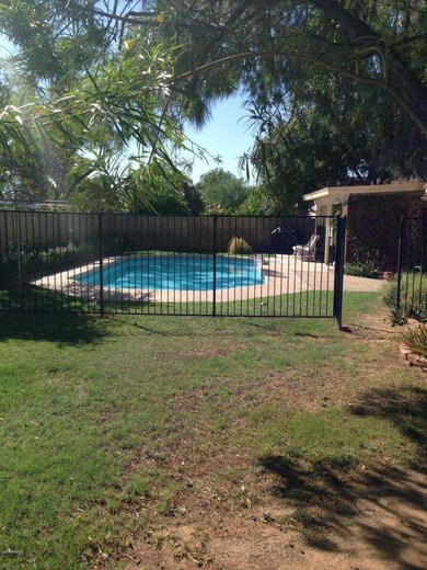 GRASSY BACKYARD