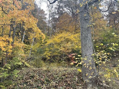 image 669012