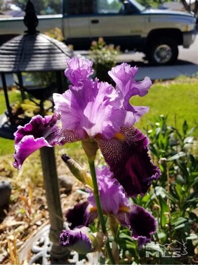 1281 Breaker Way, Sparks, NV 89431 - photo 4