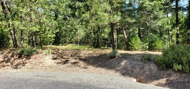 234 Iris Ln, Grants Pass, OR 97526 - photo 2