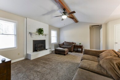 wood burning fireplace