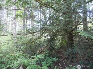 11511 Lake Josephine Ave, Anderson Island, WA 98303 - photo 2