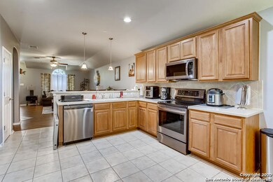 25631 Sago Palm, San Antonio, TX 78261 - photo 7