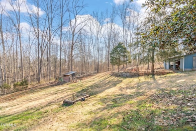 28-web-or-mls-117 Stiner Shores Road-22