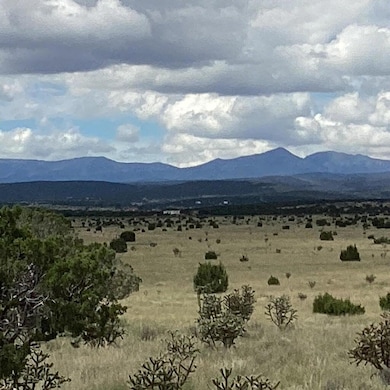 0 County Rd A052 Tract A unit 1094771, Estancia, NM 87016 - photo 2