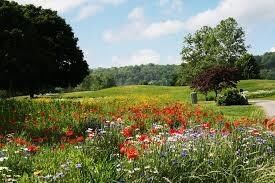 0 Burghead & Burgbe Dr unit 1082256, Bella Vista, AR 72715 - photo 5