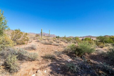 Sonoran Desert Views