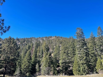 52960 Cummings Creek Rd, Mount Vernon, OR 97865 - photo 7