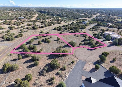 8455 W Yucca Place, Show Low, AZ 85901 - photo 3