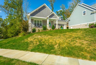 3611 Cypress HD-9