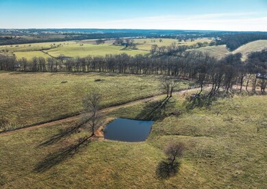 DJI_20241219091016_0989_D