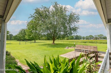 Back Yard 2