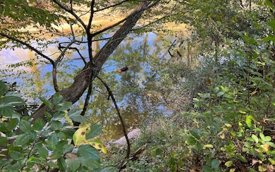 Additional View
