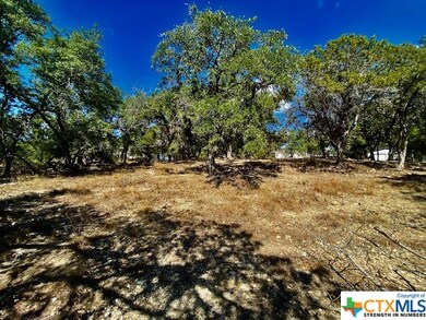 0 Rockwood unit 521855, Wimberley, TX 78676 - photo 6